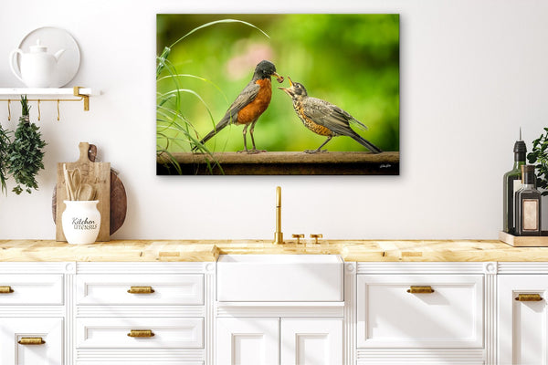 Mother Bird Red Robin, Baby Bird, Bird Feeding Wildlife Art