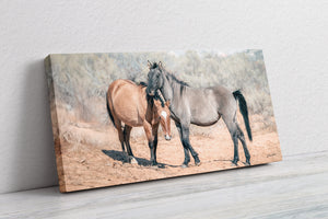Horse wall art – wide picture of horses Western fine art print by Debra Gail Fine Art