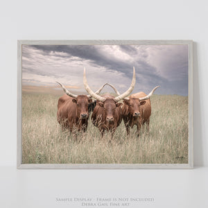 Texas Longhorn Canvas Art | Trio of Watusi Longhorns Rustic Western Wall Decor