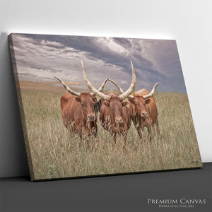 Texas Longhorn Canvas Art | Trio of Watusi Longhorns Rustic Western Wall Decor