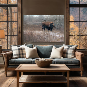 Buffalo fine art print – Great Plains wildlife wall decor by Debra Gail Fine Art