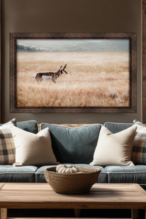 pronghorn antelope wall art canvas – wildlife Western fine art print by Debra Gail Fine Art