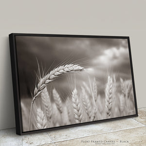 Rural Wheat Field Wall Art | Kansas Prairie Photography