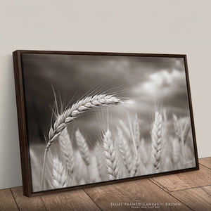 Rural Wheat Field Wall Art | Kansas Prairie Photography