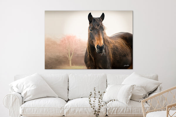 Wild Horse Art Print - Rustic Western Wall Decor - Wild Mustang