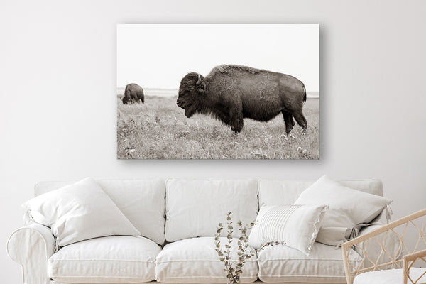 BUFFALO ART PRINT - NEUTRAL TONES