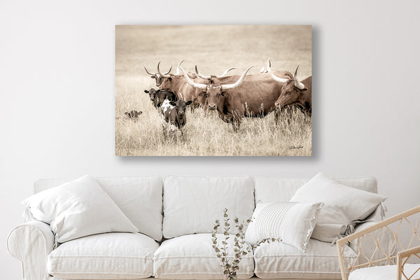 WATUSI LONGHORN COW PRINT OR CANVAS - FARMHOUSE DECOR