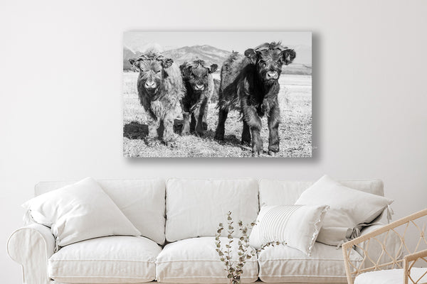 NURSERY WALL ART - CUTE SCOTTISH HIGHLAND COW PRINT