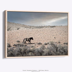 Wild Mustang Canvas - Southwestern Wall Art | Rustic Horse Photography Print