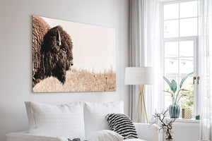 a large buffalo print hanging on a wall in a living room, with a white sofa and a lamp in the foreground.