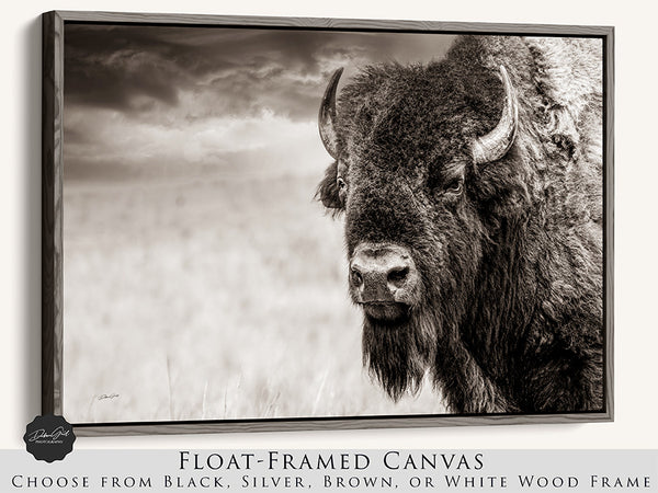 a black and white photo of a buffalo