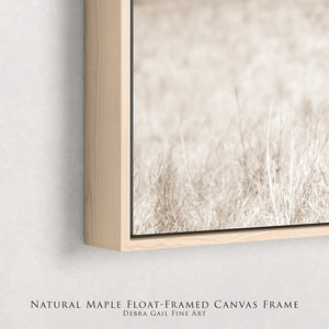 The image is a close-up of a natural maple float-framed canvas frame with a blurred field of tall grass in the background.