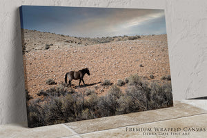 A lone horse stands in a vast, arid landscape, its silhouette stark against the barren terrain.