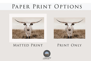two photographs of a horned animal, likely a cow or a bull, standing in a field. The text above the images indicates that there are "Paper Print Options" available for the photographs.