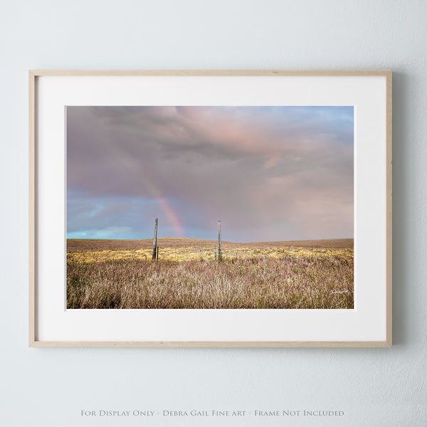 a picture of a field with a rainbow in the sky