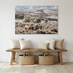 Wild Horses Photography | Heritage Pryor Mountain Horses Band