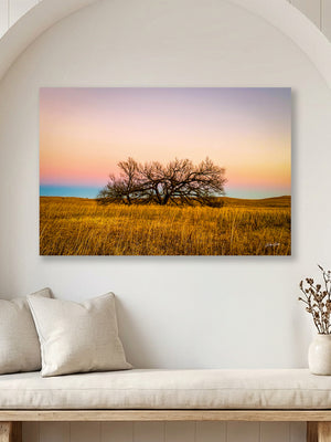 Kansas Flint Hills wall art – sunrise prairie landscape photography by Debra Gail Fine Art