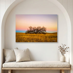 Kansas Flint Hills wall art – sunrise prairie landscape photography by Debra Gail Fine Art