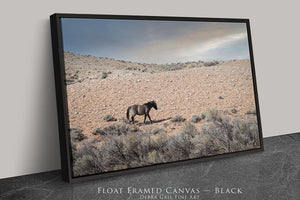 A black horse is walking across a desert landscape with sparse vegetation.