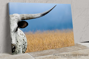 Texas cattle wall art – neutral farmhouse style