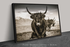 A black and white photograph of two yaks with long horns standing in a grassy field, with mountains in the background.