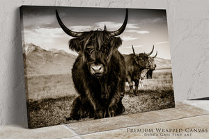 A black and white photograph of two yaks with long horns standing in a grassy field, with mountains in the background.