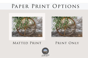 two photographs of a wheel with greenery on it, accompanied by text indicating that the wheel is either a "Paper Print" or "Print Only" option.