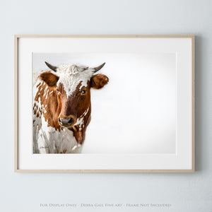 A framed photograph of a brown and white cow with a white face and brown spots, looking directly at the camera.