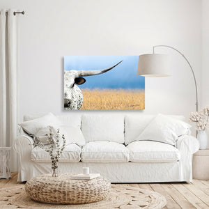 Longhorn fine art print – rustic western wall decor