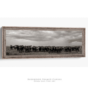 Black Angus Photography in Sepia | Panoramic Wide Cattle Canvas - Rustic Decor