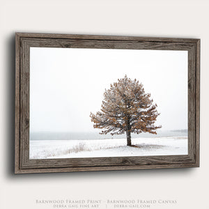 Winter Solitude | Flint Hills Kansas Landscape Wall Art
