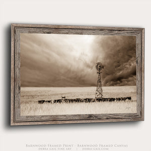 Black Angus Canvas Wall Art | Nebraska Windmill Print Farmhouse Decor