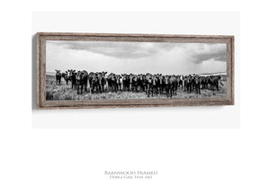 Black Angus Wall Art | Panoramic Cattle Ranch Landscape