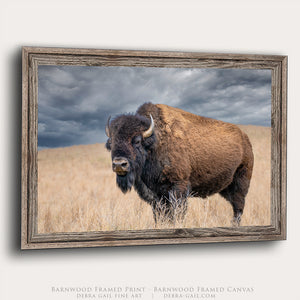 Buffalo Wall Art Picture | Original Rustic Bison Canvas Print - Western Decor