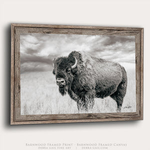 Buffalo Canvas Art | Black and White Bison Wall Art - Rustic Western Decor