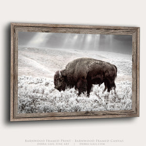 Buffalo Wall Art | Bison Canvas Print - Western American Bison Wall Art