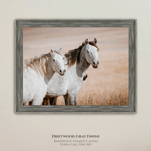 Two Mustangs Horse Wall Art - Flint Hills Kansas