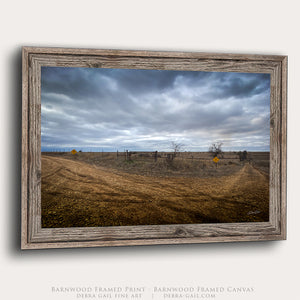 Flint Hills Country Road Wall Art | Kansas Prairie Landscape