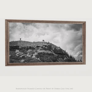 Echoes of Battle Canyon | Black & White Panoramic Wall Art