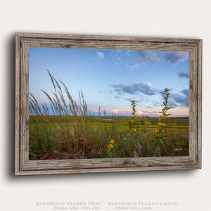 Kansas Wildflower Wall Art | Prairie Meadow Landscape Print