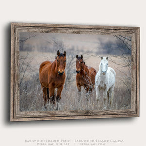 A barnwood framed photographic print showing three horses standing in a dry field with snow flurries.  