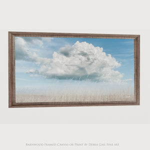 Under a Kansas Sky | Quivira Prairie Landscape Photography