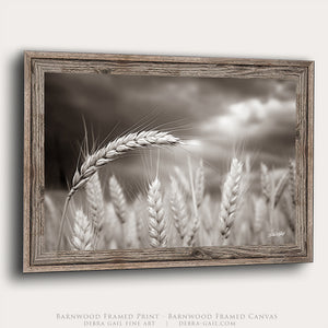 Rural Wheat Field Wall Art | Kansas Prairie Photography