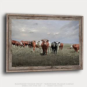 Cattle Art Print | Farmhouse Cattle Canvas - Rustic Farmhouse Wall Art Decor