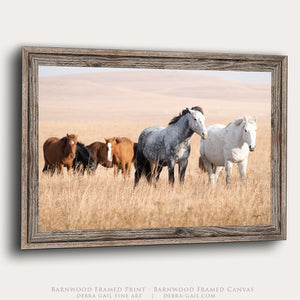 Kansas Flint Hills Wild Horses Wall Art – Prairie Horse Photography