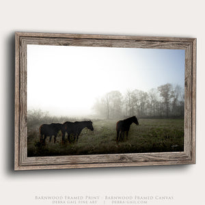 Wild Horses Photography Canvas or Print | Original Debra Gail Fine Art Western Wall Decor