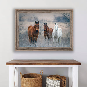 Wild Horses wall art – rustic Western fine art print by Debra Gail Fine Art