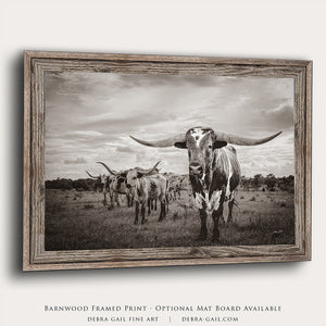Texas Longhorn wall art – Western ranch photography print by Debra Gail Fine Art