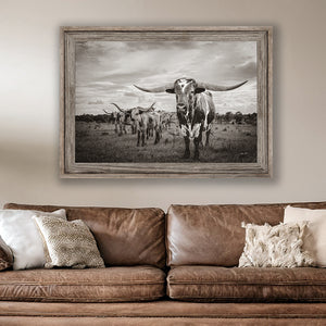 Texas Longhorn wall art – Western ranch photography print by Debra Gail Fine Art