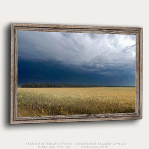Oat Field Art Print – Kansas Country Landscape Canvas